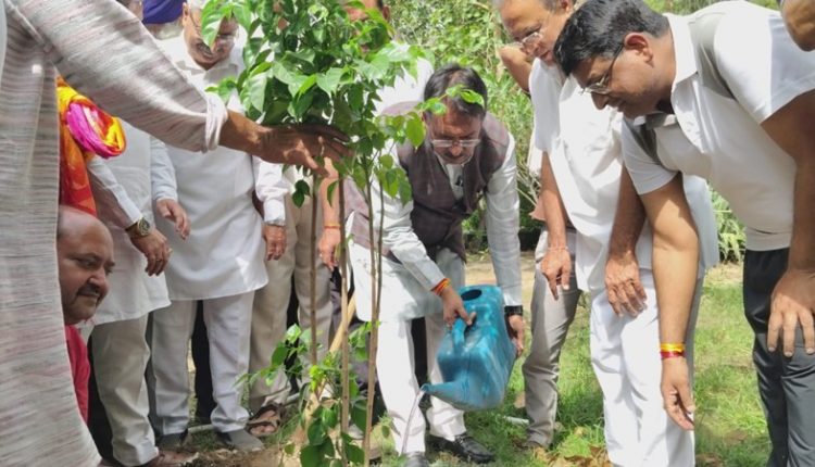 विश्व पर्यावरण दिवस