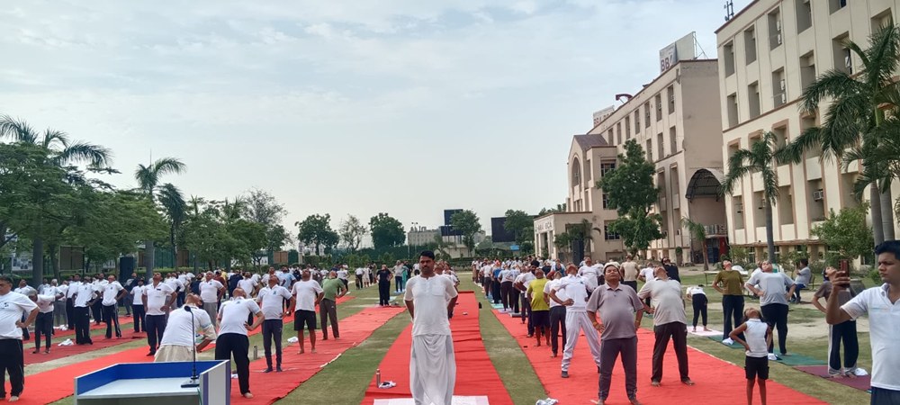 विश्व योग दिवस, अंतरराष्ट्रीय योग दिवस,