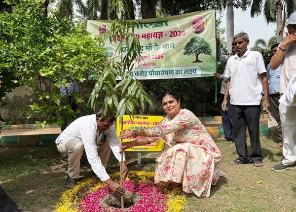 वृहद वृक्षारोपण