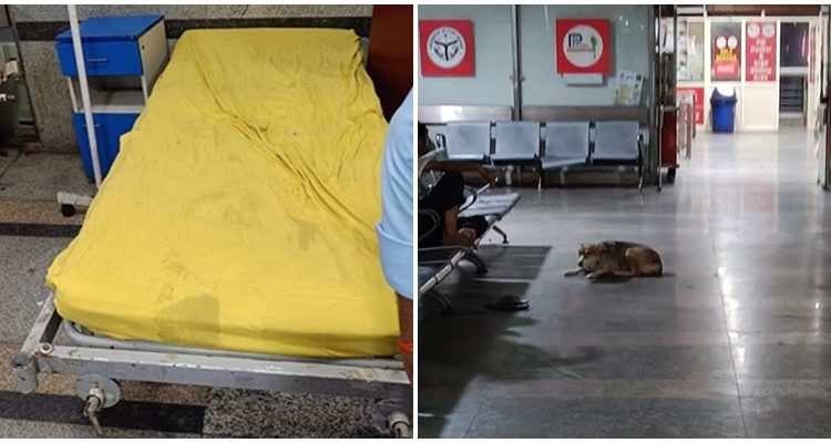नोएडा जिला अस्पताल