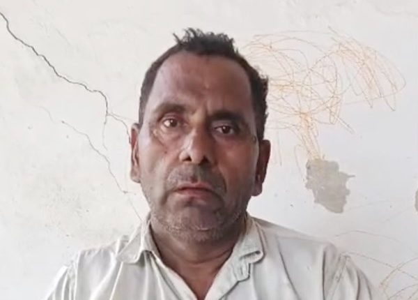 घेवर में कॉकरोच