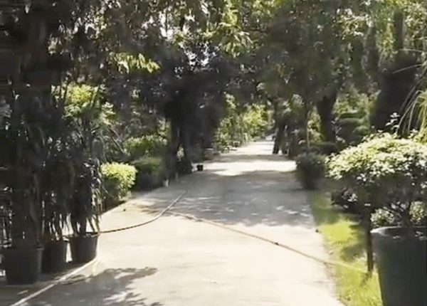 नर्सरी बनेगी खास