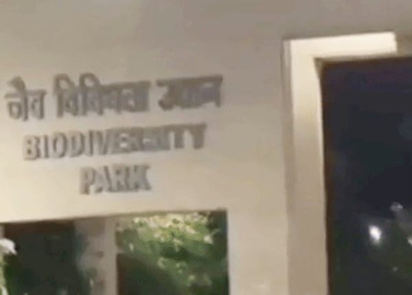 डियर पार्क