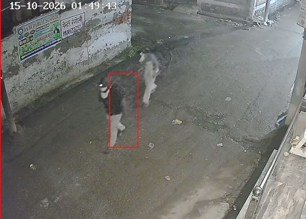 रोजा जलालपुर में चोरों का कहर, एक ही रात दो सगे भाइयों के घरों में लाखों की चोरी